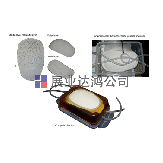 <b>英國PI  經顱模體</b>