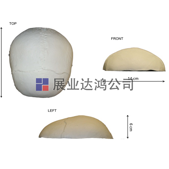 <b>英國PI 頭蓋骨模體</b>