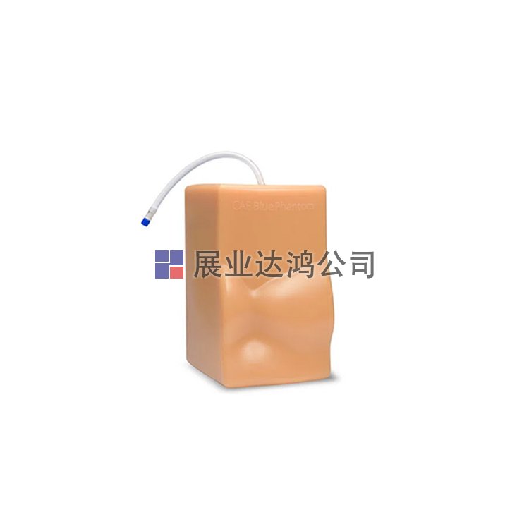 <b>CAE BPH700心臟超聲訓(xùn)練模塊-展業(yè)達(dá)鴻代理</b>