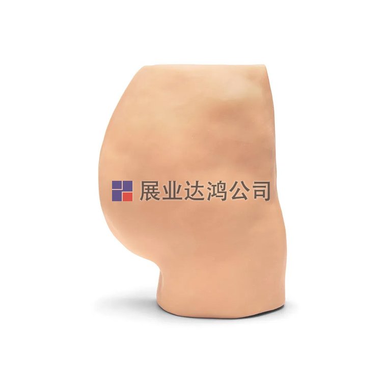 <b>CAE G-FIO-002-B臀肌內(nèi)注射模型-展業(yè)達(dá)鴻代理</b>