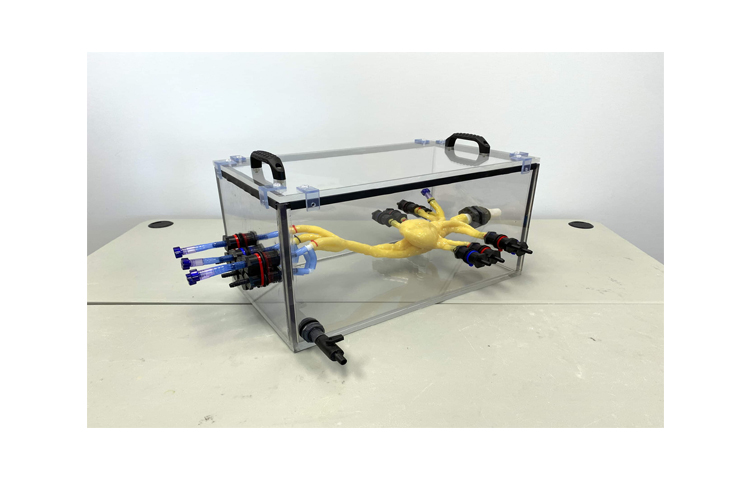 加拿大Truephantom成人心臟模體