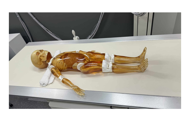 加拿大Truephantom兒童全身模體