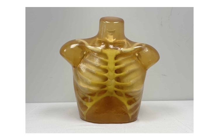 加拿大Truephantom成人胸部模體