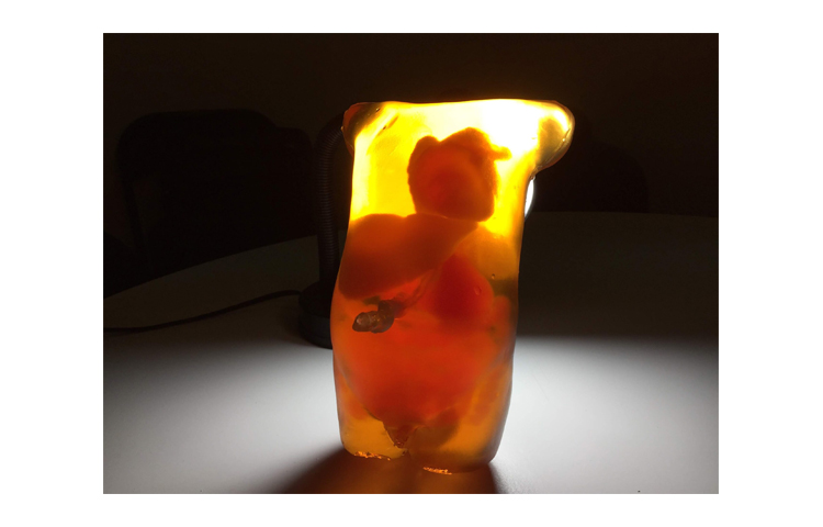 加拿大Truephantom新生兒透明軀干模體