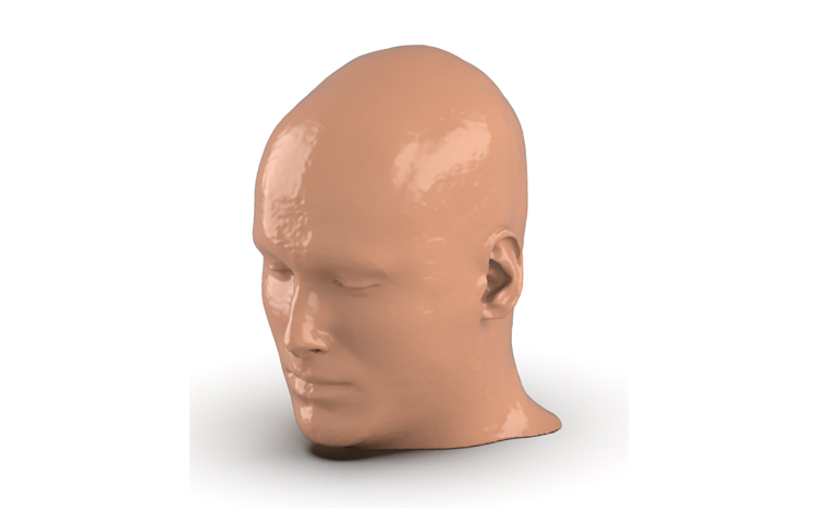 德國phantomx 51-04頭部CTA AVM模體